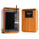 Audioengine A5+BT Bamboo