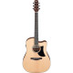 IBANEZ AAD50CE-LG