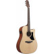 IBANEZ AAD50CE-LG