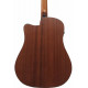 IBANEZ AAD50CE-LG