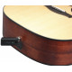 IBANEZ WS1