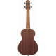 IBANEZ UKC100-OPN