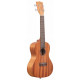 KALA MAHOGANY CONCERT UKULELE NO BINDING