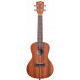 KALA MAHOGANY CONCERT UKULELE WITH BINDING