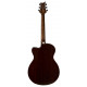 PRS SE A40E (Tobacco Sunburst)