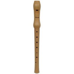 BELCANTO BCR-31-G