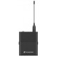 SENNHEISER SK Q1-6 EW-D