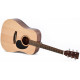 Ditson D-10