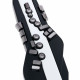 Roland Aerophone AE-20