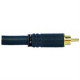 PROEL MRCA50BK
