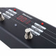 Blackstar ID FS-10