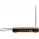 MOOG Etherwave Theremin
