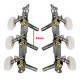 MAXTONE GM-22S