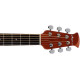 Ovation OV511223 Гітара електроакустична Applause AB24II-HB Mid Cutaway Honey Burst