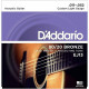 D"ADDARIO EJ13