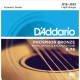D"ADDARIO EJ16