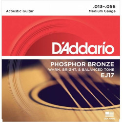 D"ADDARIO EJ17