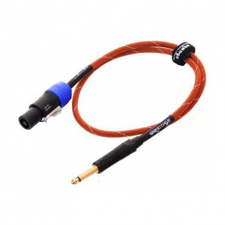Orange OR-6 (Jack/Speakon)