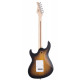 CORT G110 (Open Pore Sunburst)