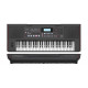 ROLAND E-X50
