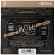 D'ADDARIO EJ46 PRO-ARTE HARD TENSION