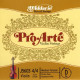 D'ADDARIO PRO-ARTÉ VIOLIN SINGLE D STRING 4/4 Scale Medium Tension