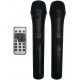 SOUNDKING LS911