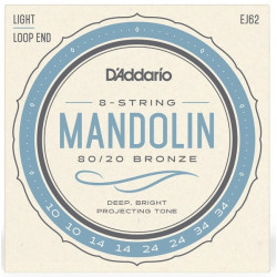 D"ADDARIO EJ62
