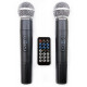 HL AUDIO USK15A BT/USB