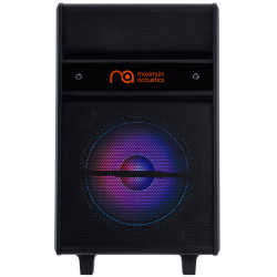 Акустическая система Maximum Acoustics MusicBAND.100