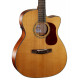 CORT GOLD OC6 (Natural)
