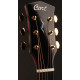 CORT GOLD OC6 (Natural)