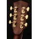 CORT GOLD A8 (Natural)