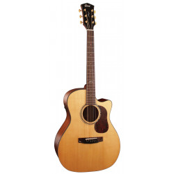 CORT GOLD A6 (Natural)