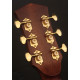 CORT GOLD A6 (Natural)