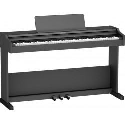 ROLAND RP107