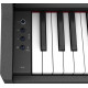 ROLAND RP107