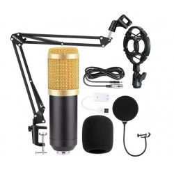 HL AUDIO BM-800