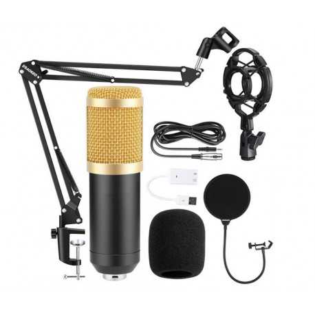 HL AUDIO BM-800
