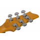 SCHECTER C-6 PLUS CB L/H