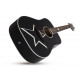 SCHECTER RS-1000 BUSKER ACOUSTIC