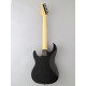 FUJIGEN BOS2EW1MHH “Limited Model”