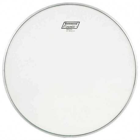 Ludwig 20" C8120