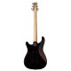 PRS FIORE (Black Iris)