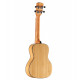 ALVAREZ MU55C