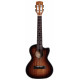 ALVAREZ AU66TCESHB