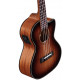 ALVAREZ AU66TCESHB