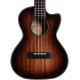 ALVAREZ AU66TCESHB