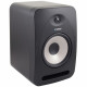 TANNOY REVEAL 502