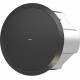 TANNOY CVS 801